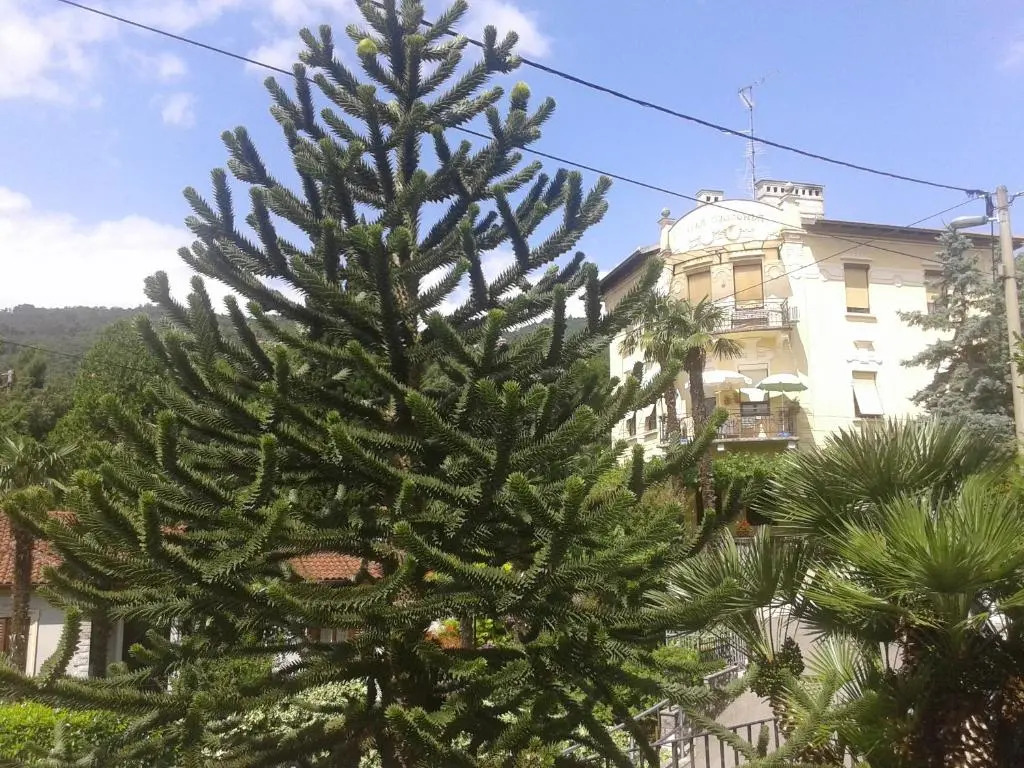 Opatija Centar