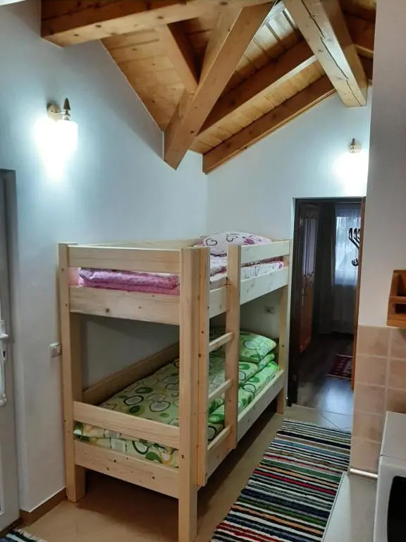 Casuta Pietrosul Rodnei