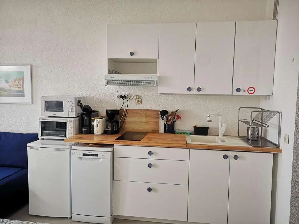 Appartement Le Barcarès, 2 pièces, 4 personnes - FR-1-195-84
