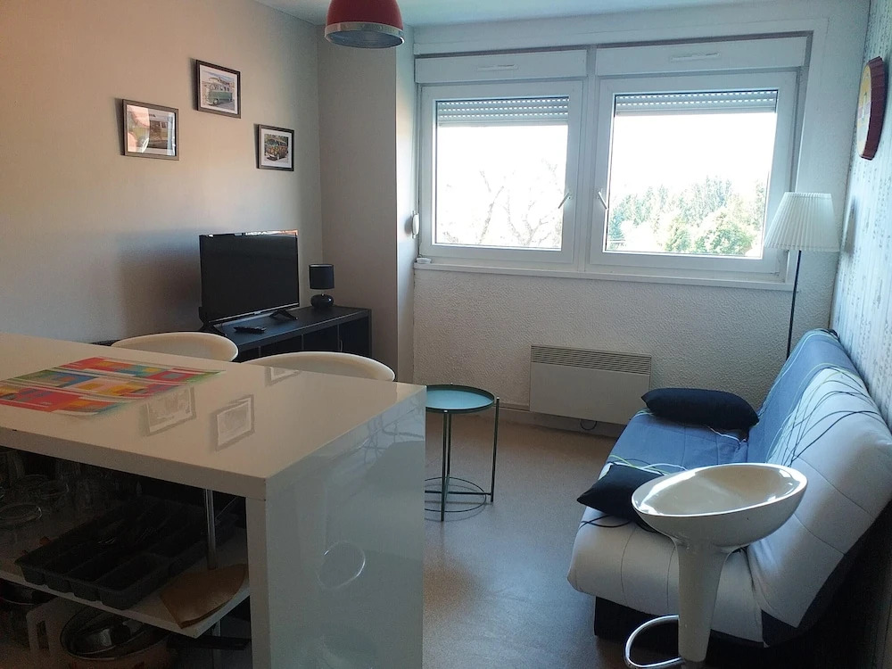 Studio In Gerardmer With Wonderful Lake View And Furnished Garden 800 M From The Slopes