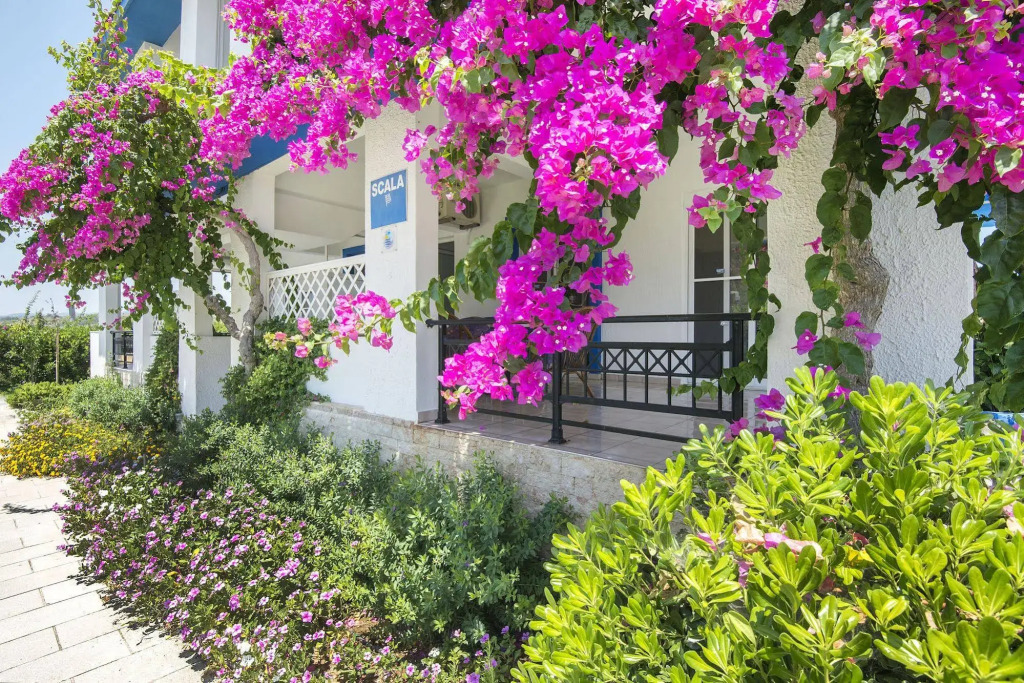 SCALA APARTS & STUDIOS - Rhodes