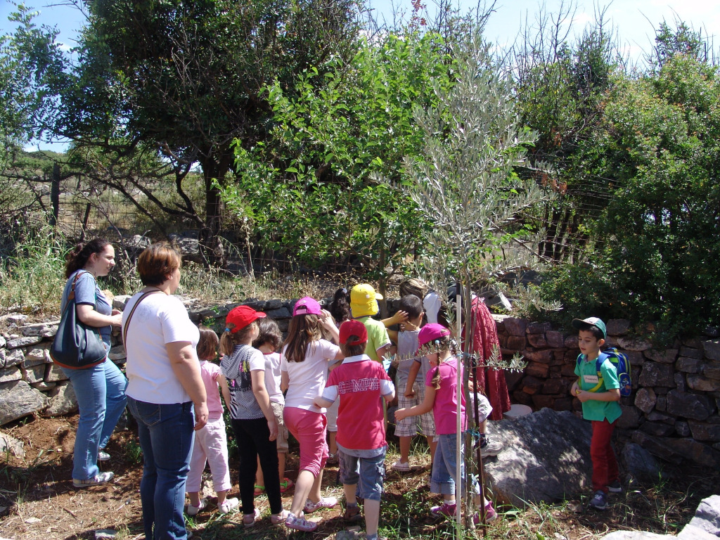Arolithos Traditional Village Hotel