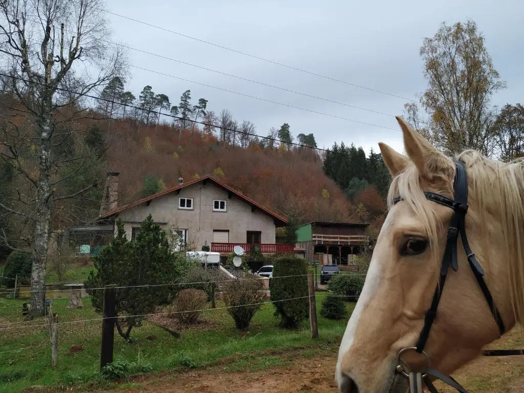 Léchappée verte - gîte equestre 5 pers