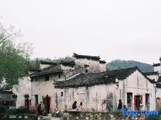 Mushe Hotel