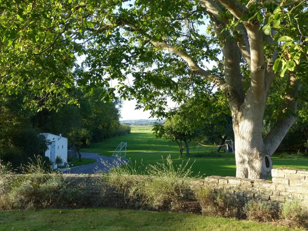 Conkers - a new bespoke rural escape near Glastonbury