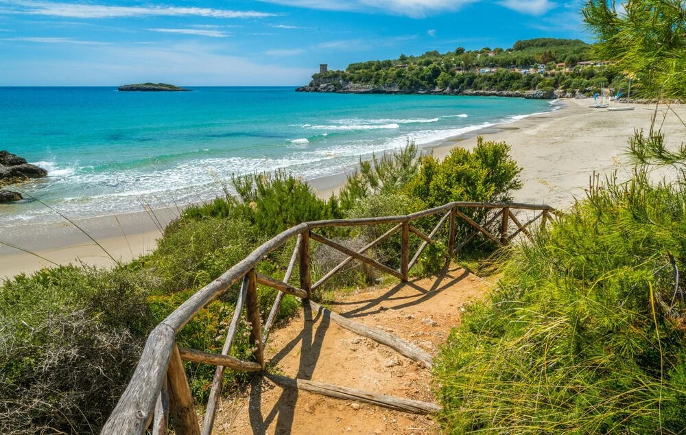 Ecolodge Selvitelle - Sustainable Retreat Amidst Olive Groves in Cilento