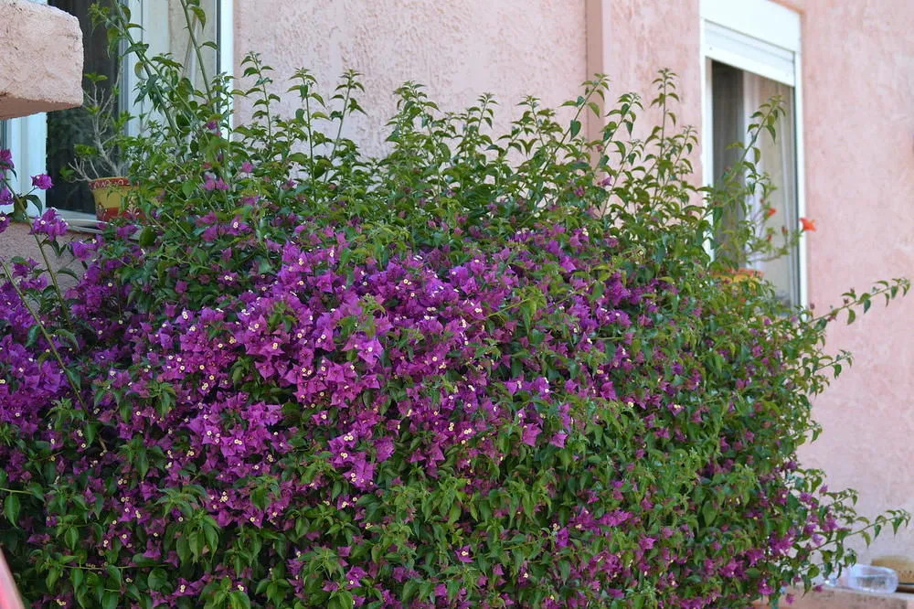 Hotel Princesse DAzur