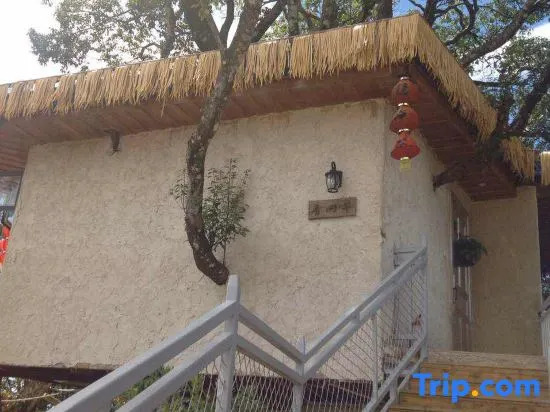 Yinxin'gu Treehouse Hotel