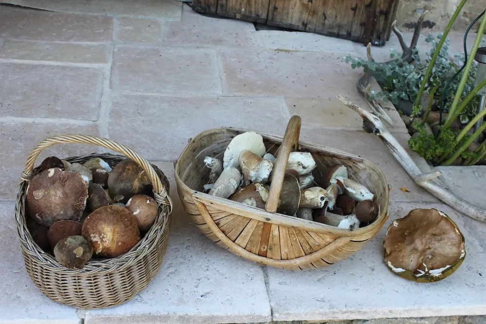 Léone Haute
