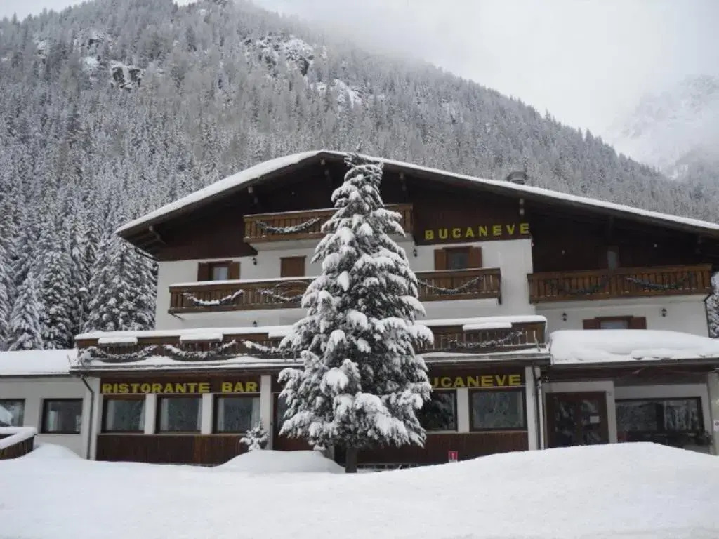 Hotel Bucaneve