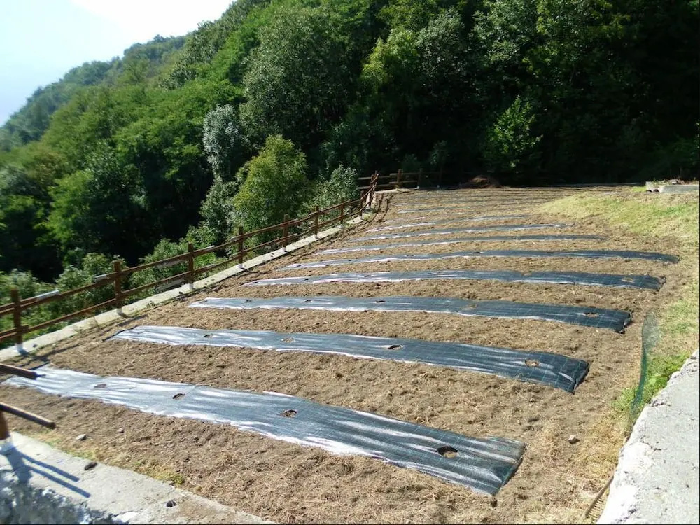 Agriturismo da Ysy