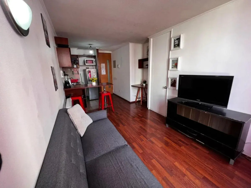 Apartamentos Plaza Bulnes