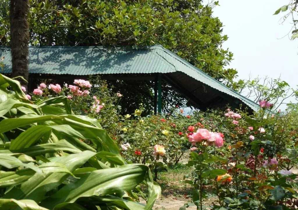 Hotel Padmini NIvas