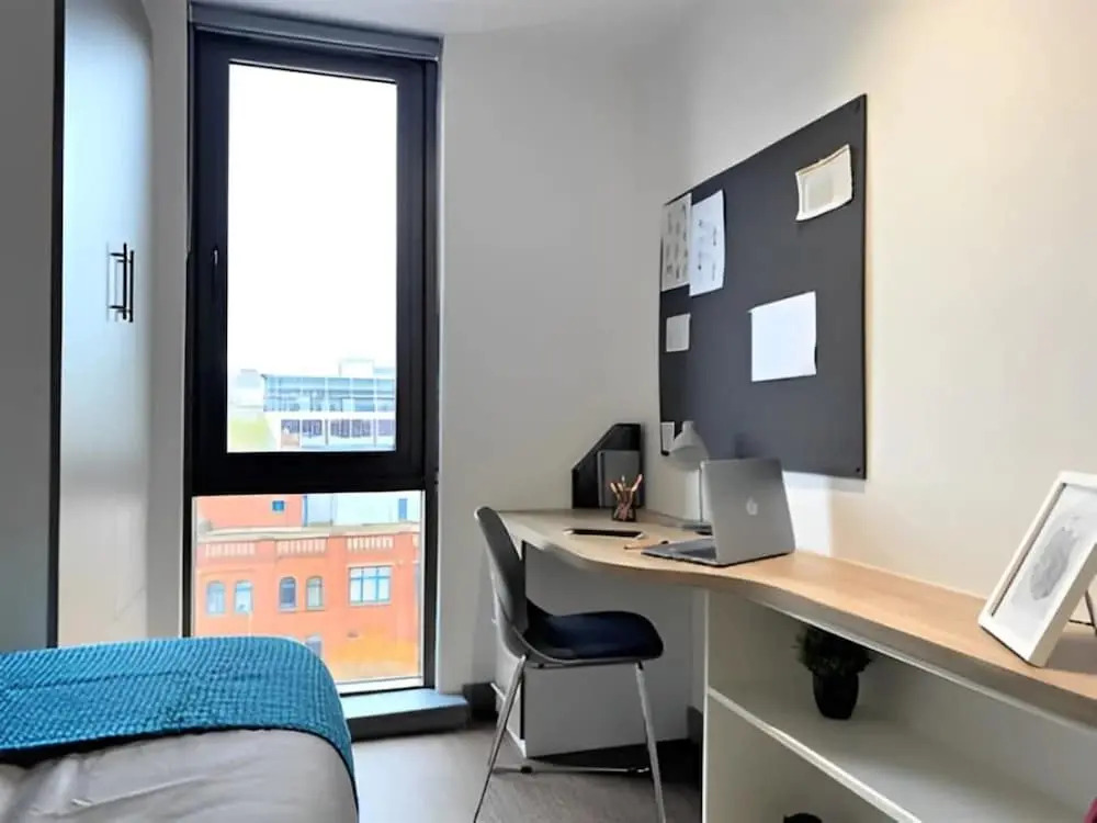 For Students Only - Little Patrick Street in Belfast