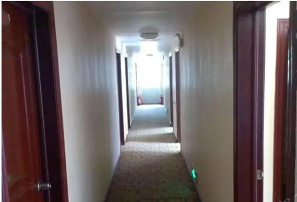 Urumqi Mangrove Forest Hotel
