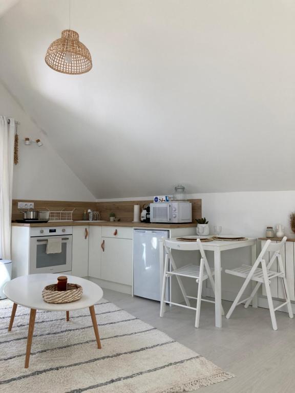 Studio Cosy Avec Coin Jardin (Adults Only)