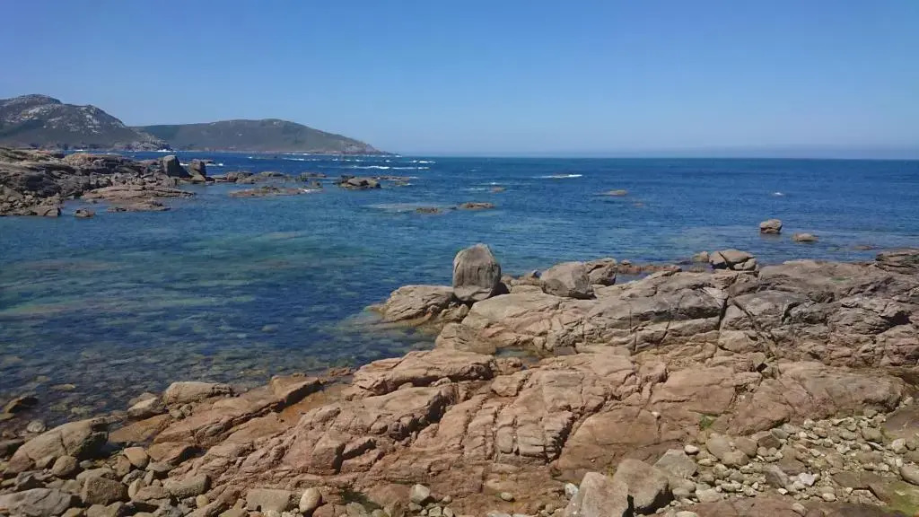 Cantos do Coido