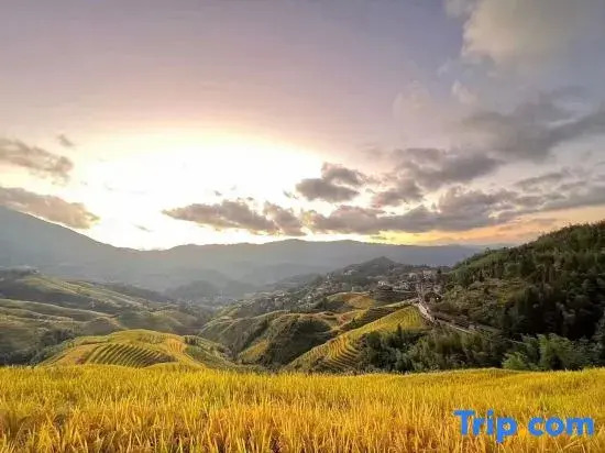 Ziyun·Sunrise Mountain House (Longji Terraces Jinkeng Observation Deck)