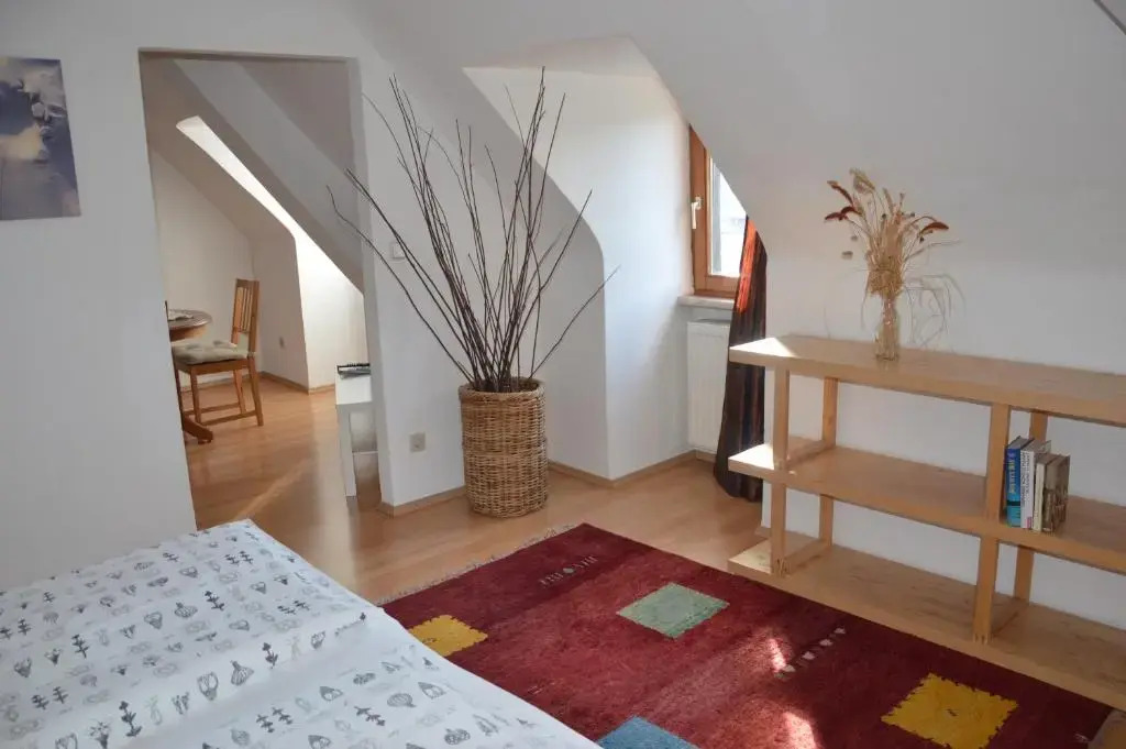 City Apartment Vasiri