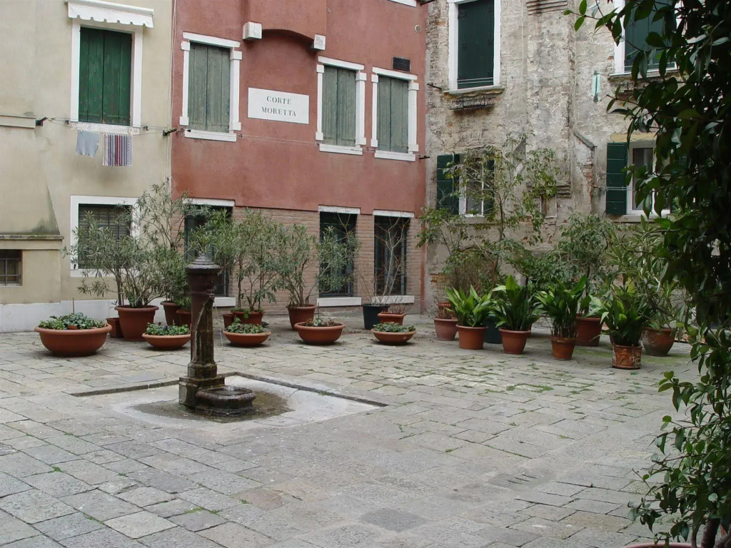 Sunny Venice Apartments
