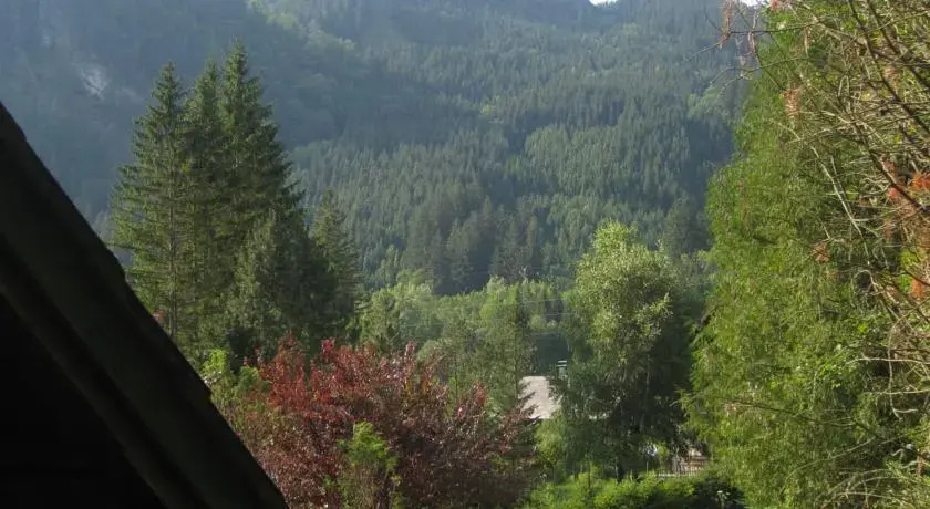 Ferienhaus Erlaufboden