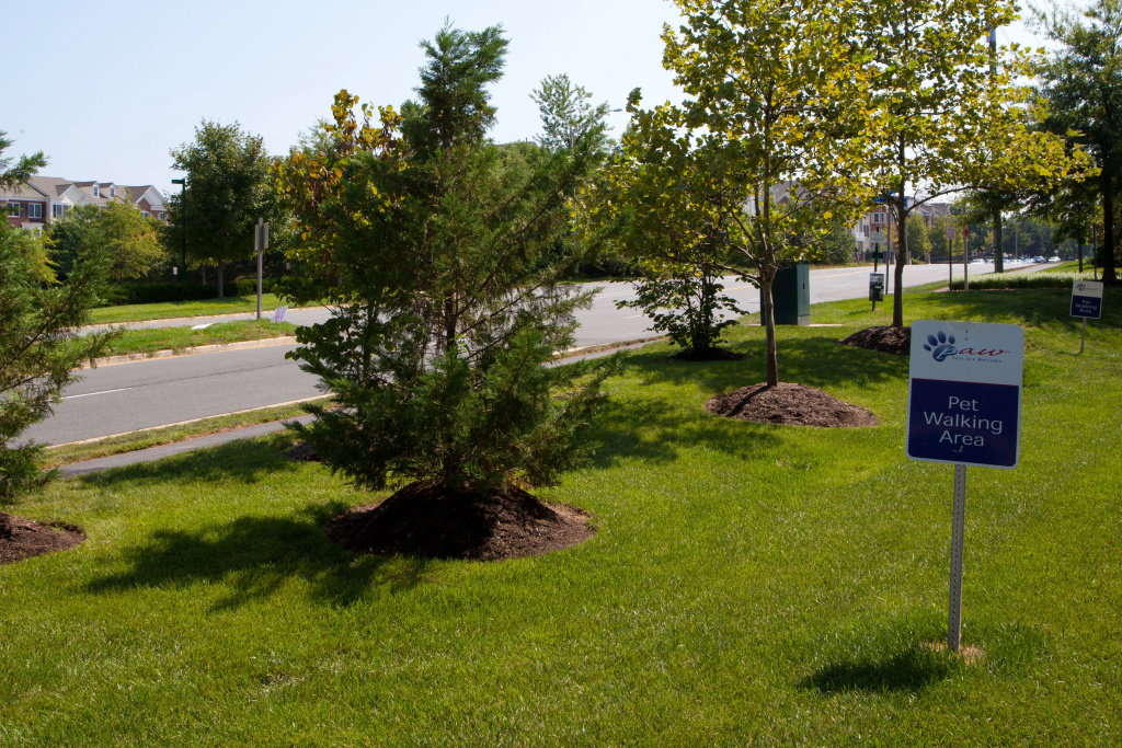 Candlewood Suites Washington-Dulles Herndon by IHG