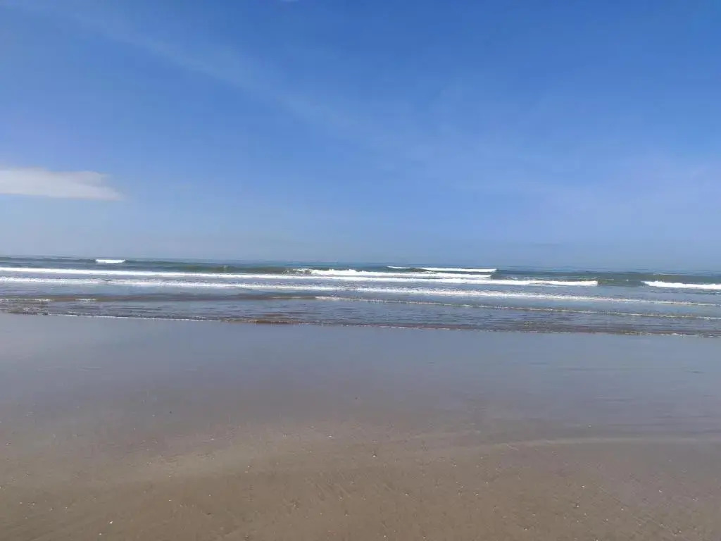 Morjim Sunset Hotel - 300 Meter to Morjim Beach with Pool & Kitchen Apartments
