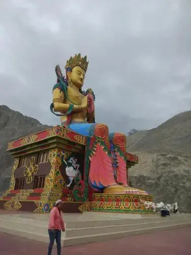 Organic Boutique Inn Nubra Hunder