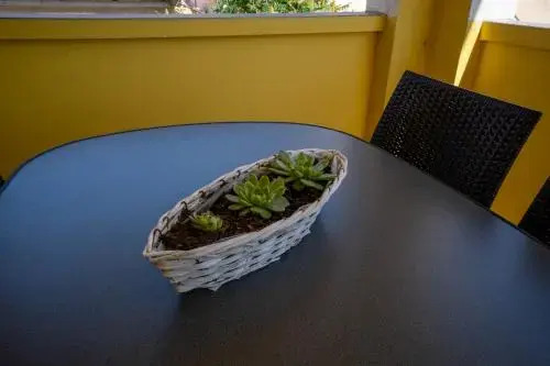 Apartments Pavic