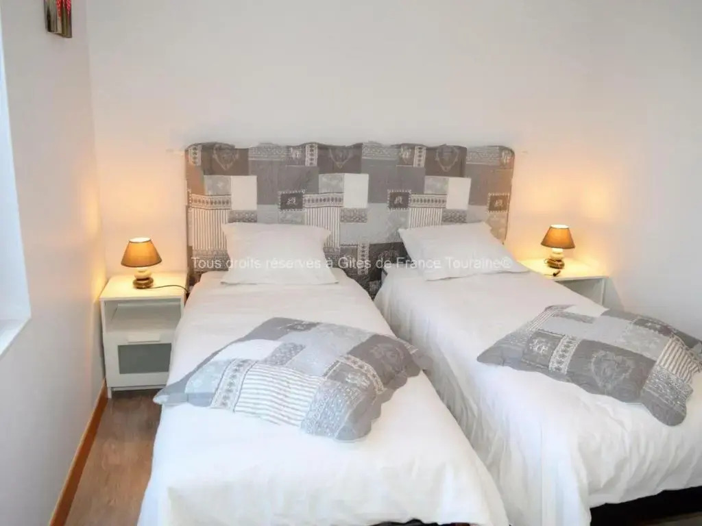 Gîte charmant près de la Loire avec WiFi et animaux admis - FR-1-381-503