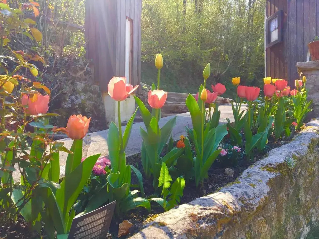 Domaine Du Moulin Vallée Heureuse