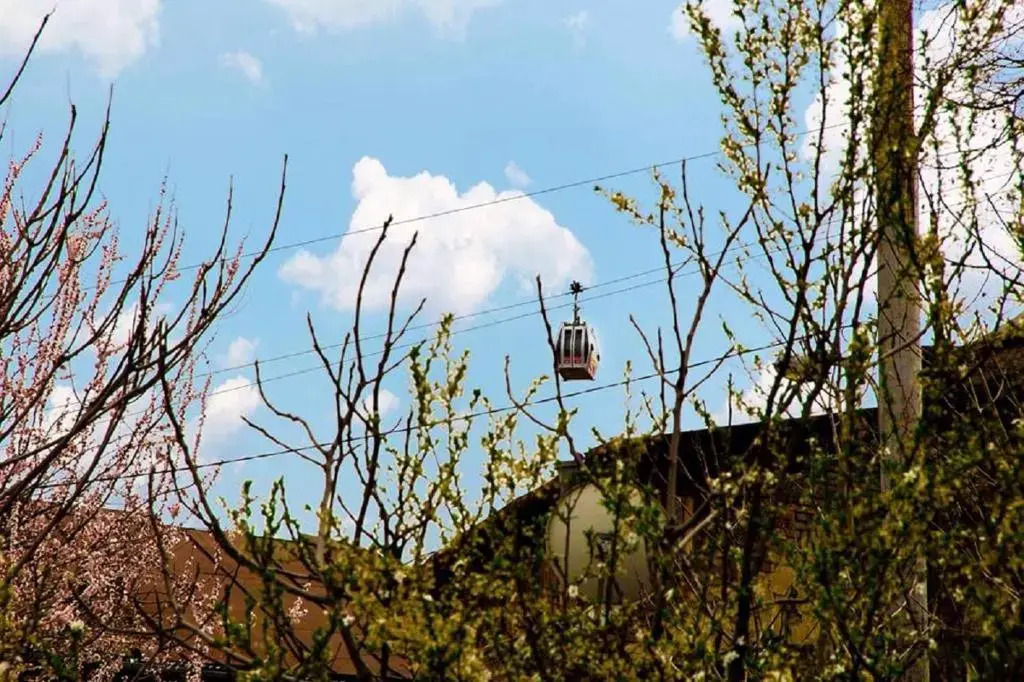Feel Old Tbilisi