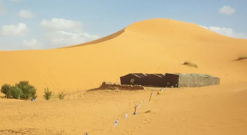 Nirvana Camel Treck