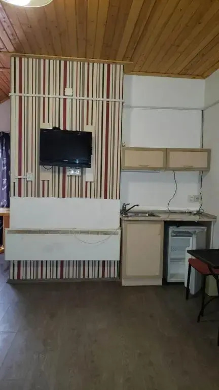 Cozy apartment in Mgzavrebi Hotel