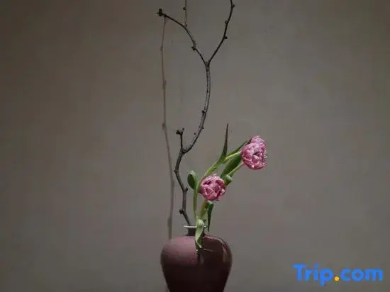 Xiaozhu Shiguang Nature-art Homestay (Sanbao Jingdezhen)