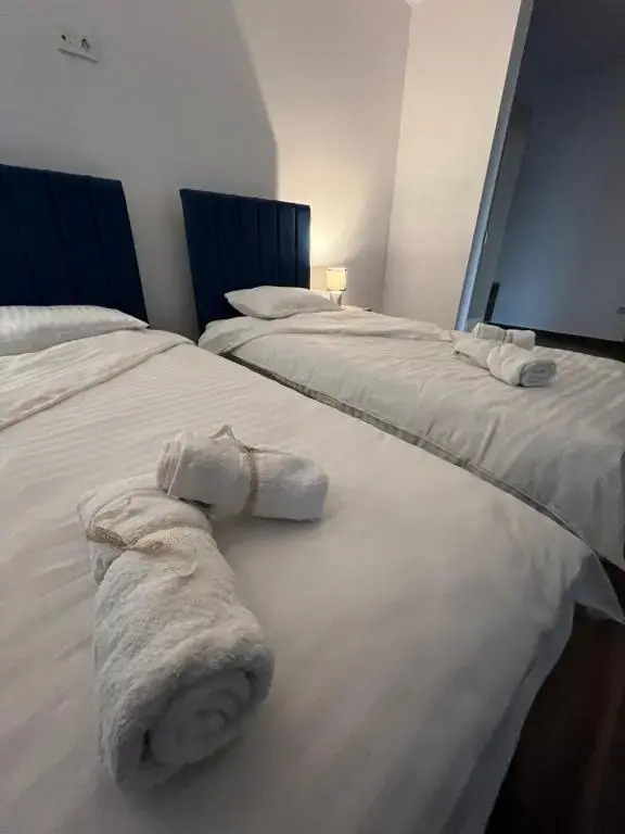 Aparthotel Plevnei4