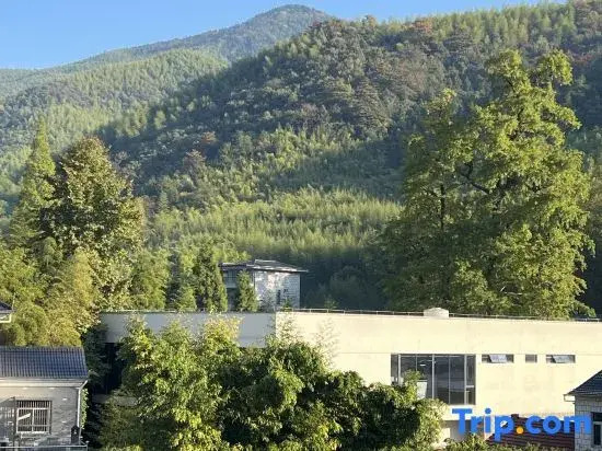 Mogan Mountain Living Map·Library Theme Guesthouse