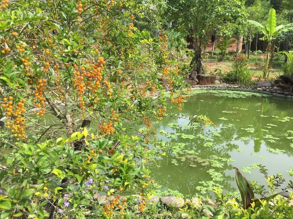 Huong Tuan Farmstay