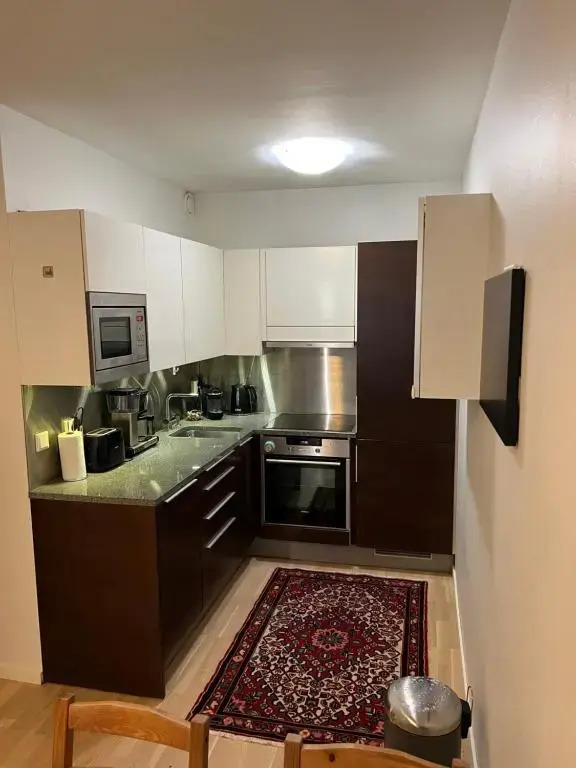 Modern 45m^2 Ullanlinna apartment