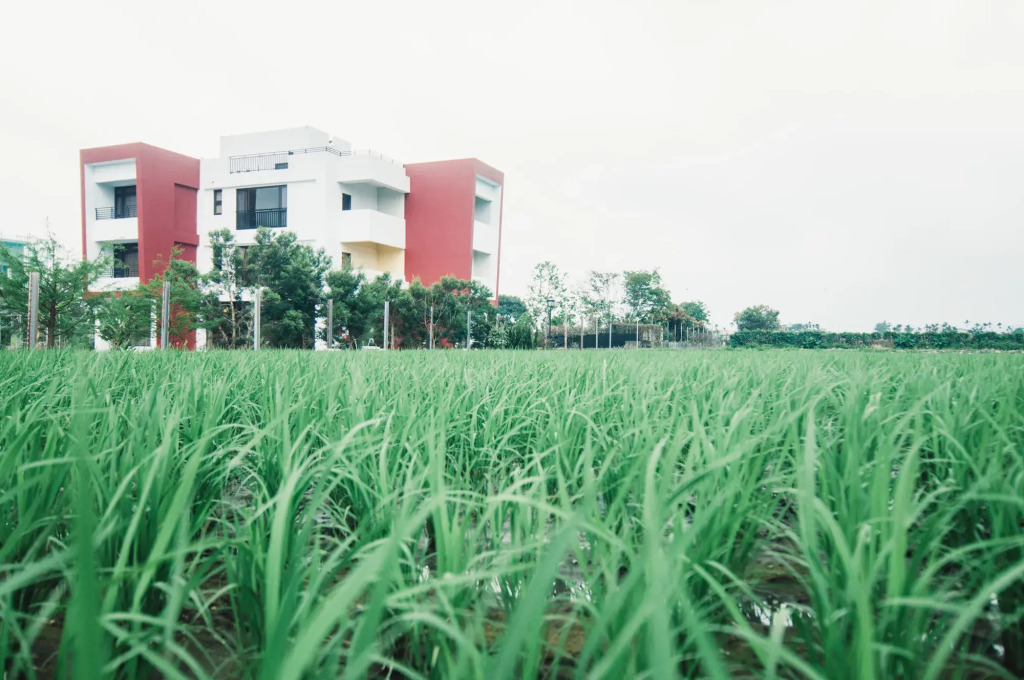 Zai Yan Yan 259 B&B