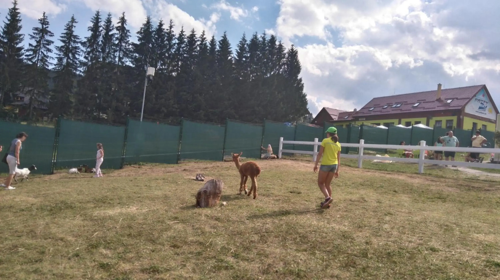 Donovaly Ad Kamzik Apartman 47