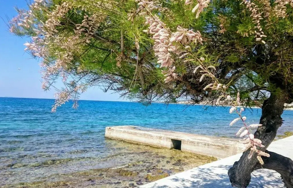 Apartment Jelena White House Zadar