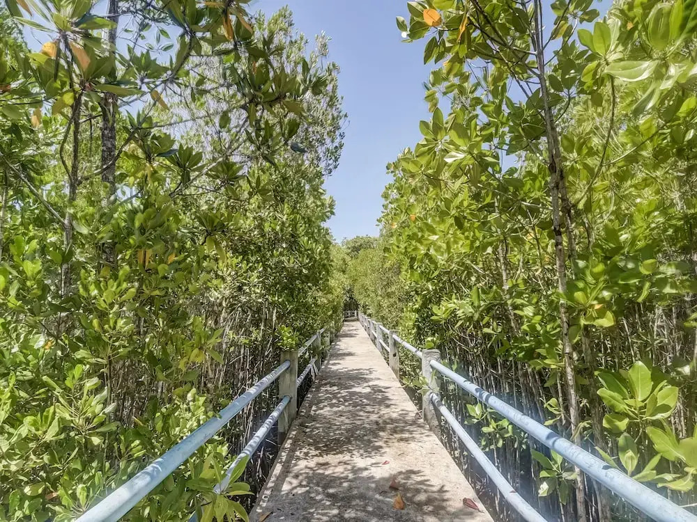 OYO Homes 91148 Homesstay Desa Wisata Bahoi Near Ekowisata Mangrove Desa Bahoi