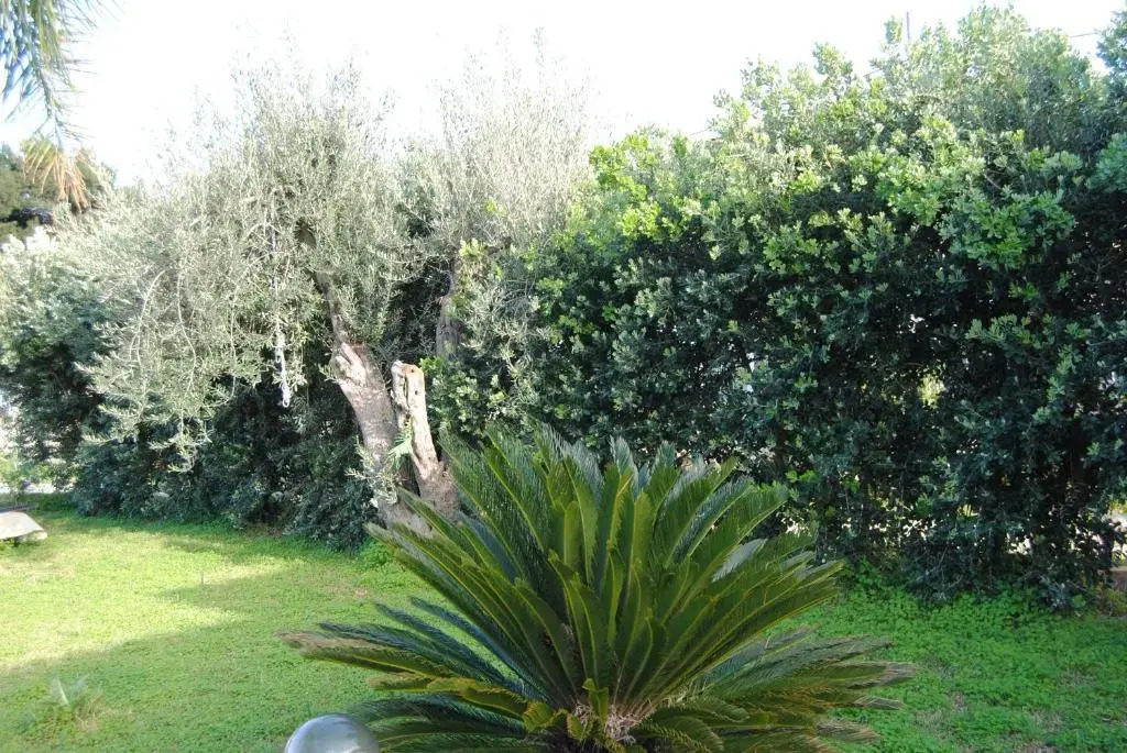 Appartamento uso turistico Villa Barbara