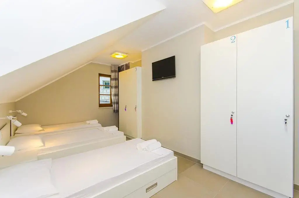 Hostel Dvor