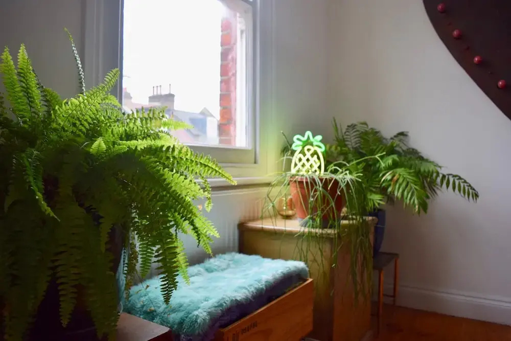 Stylish and Spacious 1 Bed Flat in Hackney