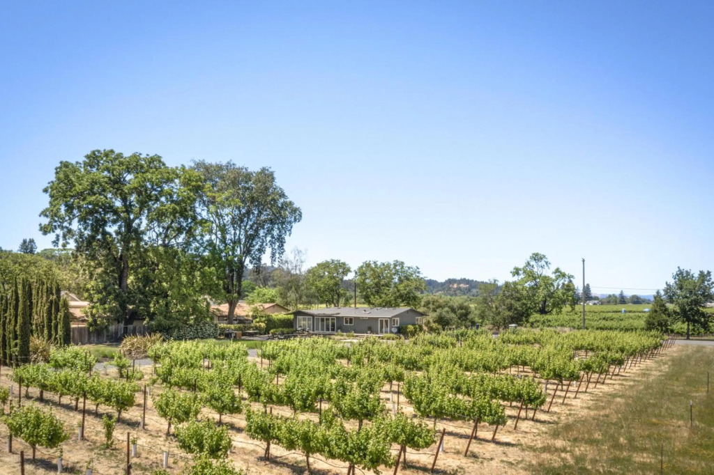 Haven With Pool, Hot Tub And Tastings Included