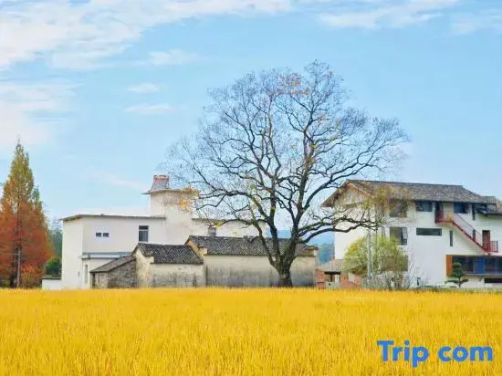 Taiping Yunzhu Characteristic Homestay