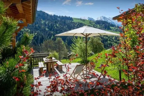 Chalet Le Charmieux - OVO Network