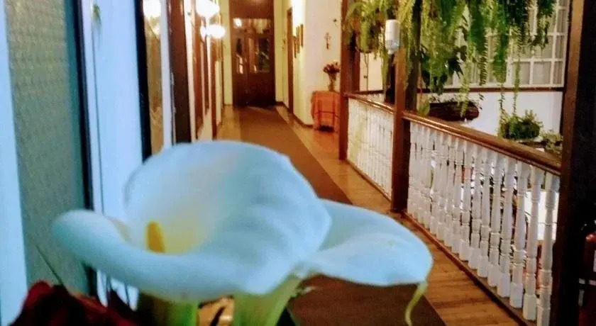 Casa Macondo Bed & Breakfast
